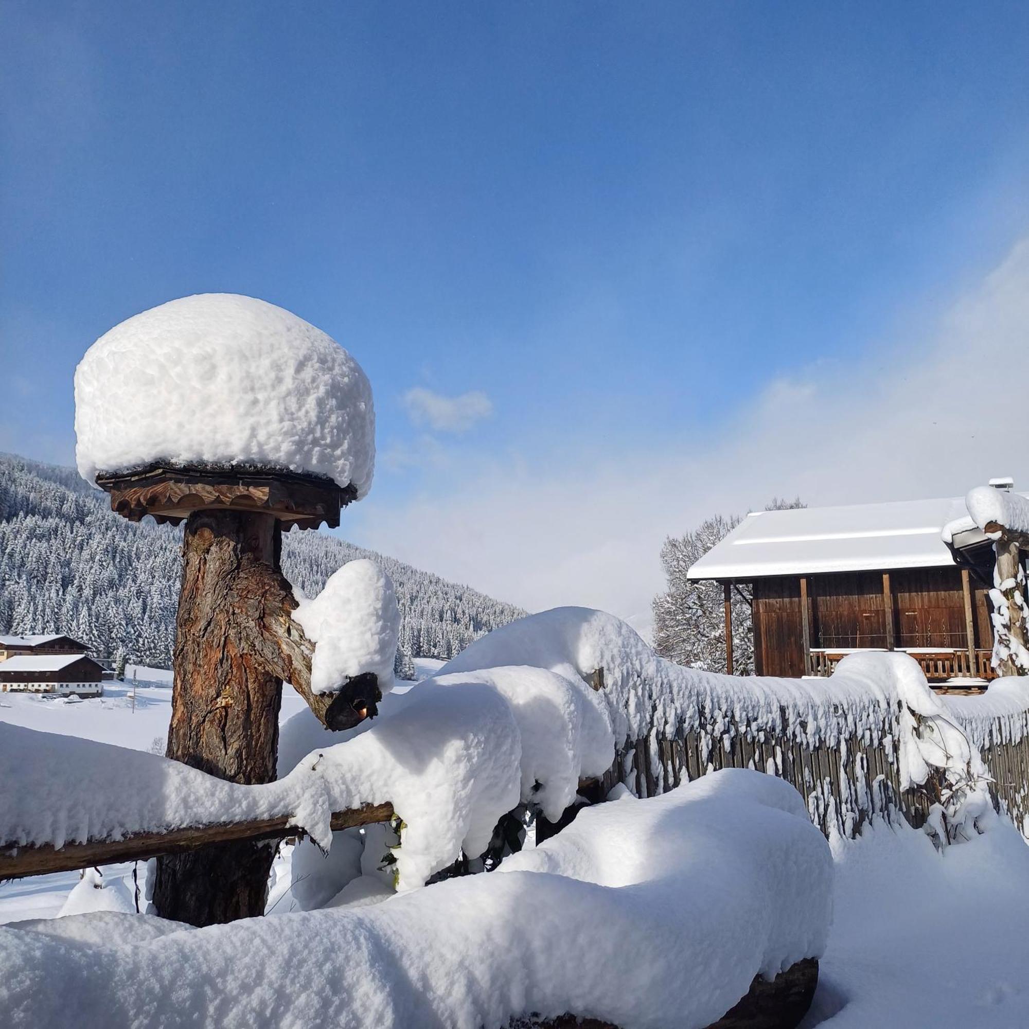 Tiny House Am Steinergut Hotel Radstadt Kültér fotó