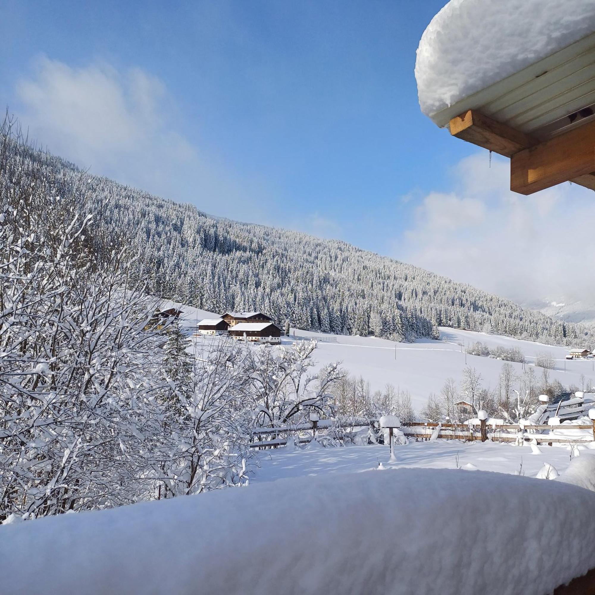 Tiny House Am Steinergut Hotel Radstadt Kültér fotó